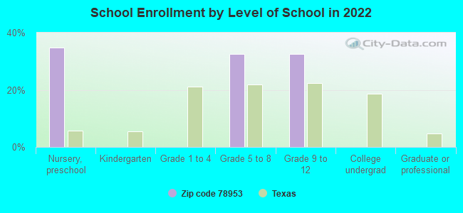 School Enrollment by Level of School in 2022