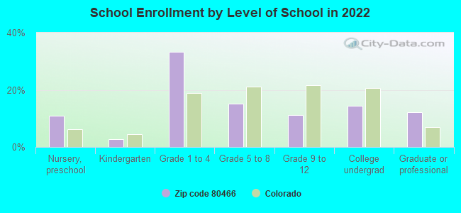 School Enrollment by Level of School in 2022