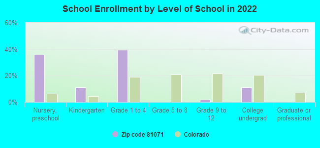 School Enrollment by Level of School in 2022