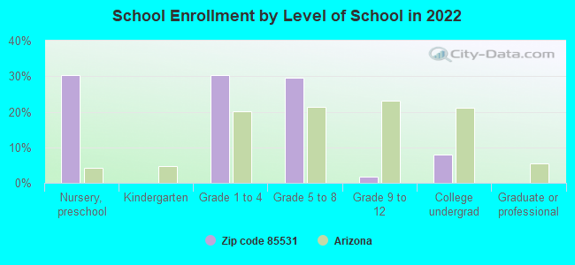 School Enrollment by Level of School in 2022