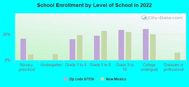 School Enrollment by Level of School in 2022