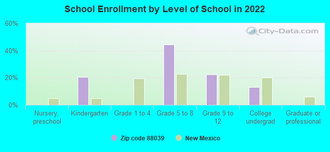 School Enrollment by Level of School in 2022