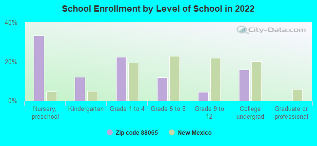 School Enrollment by Level of School in 2022