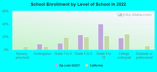 School Enrollment by Level of School in 2022