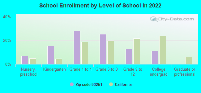 School Enrollment by Level of School in 2022