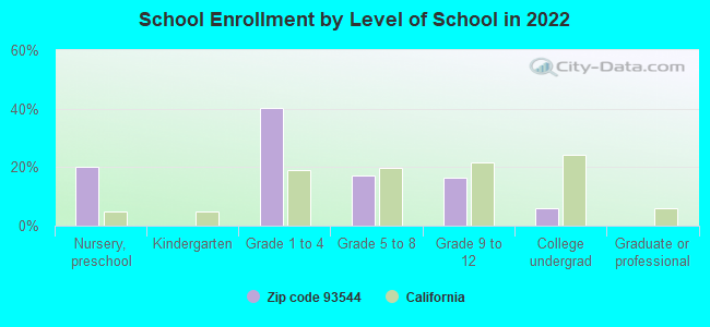 School Enrollment by Level of School in 2022