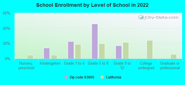 School Enrollment by Level of School in 2022