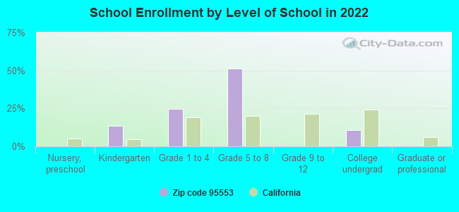 School Enrollment by Level of School in 2022