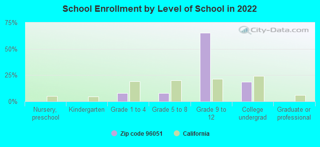 School Enrollment by Level of School in 2022