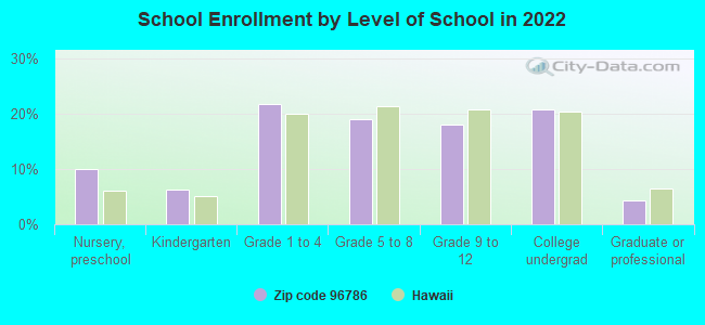 School Enrollment by Level of School in 2022