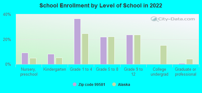 School Enrollment by Level of School in 2022