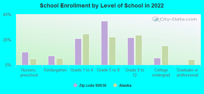 School Enrollment by Level of School in 2022