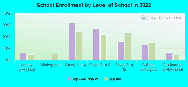 School Enrollment by Level of School in 2022