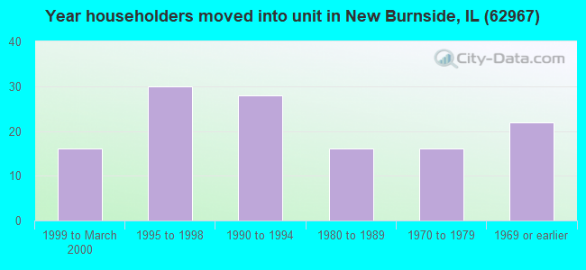 Year householders moved into unit in New Burnside, IL (62967) 