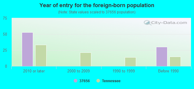 Year of entry for the foreign-born population