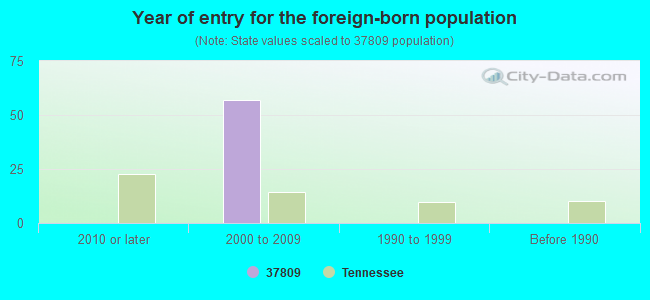 Year of entry for the foreign-born population