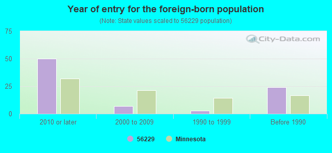 Year of entry for the foreign-born population