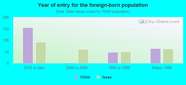 Year of entry for the foreign-born population