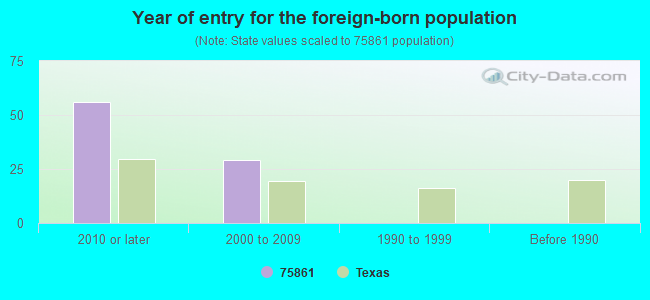 Year of entry for the foreign-born population