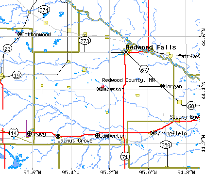 Redwood County, MN map