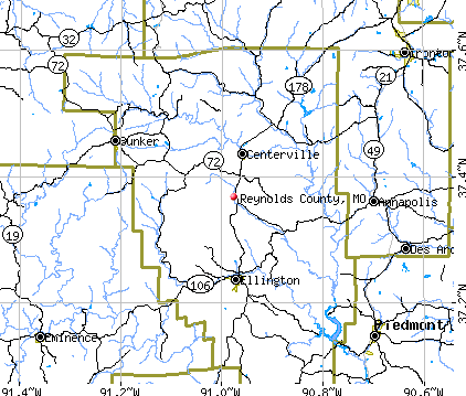 Reynolds County, MO map