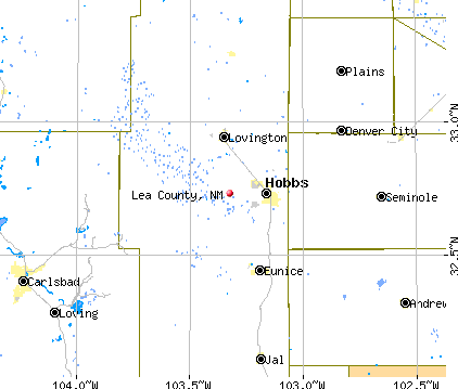 Lea County, NM map
