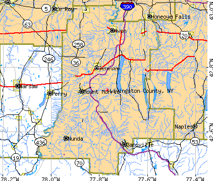 Livingston County, NY map