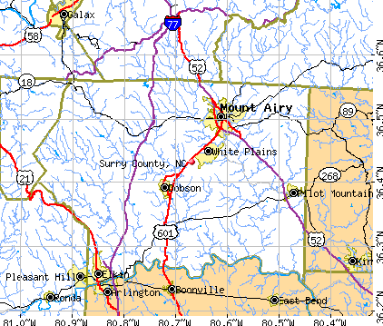 Surry County, NC map