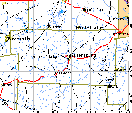 Holmes County, OH map