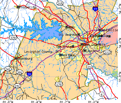 Lexington County South Carolina Detailed Profile Houses Real Estate   Un2344 