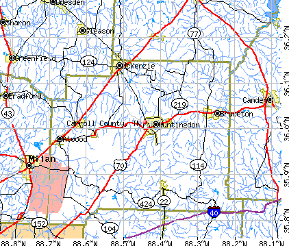 Carroll County, TN map