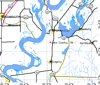 Lake County, TN map
