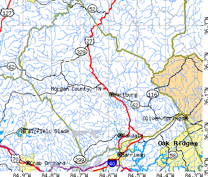 Morgan County, TN map