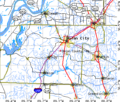Obion County, TN map