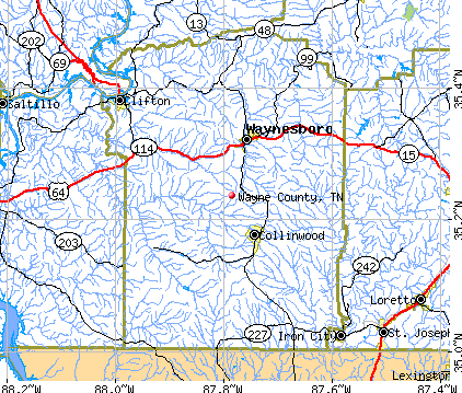 Wayne County, TN map