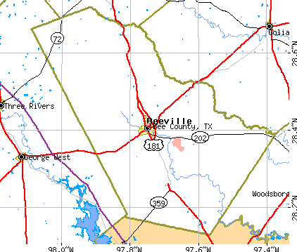 Bee County, TX map