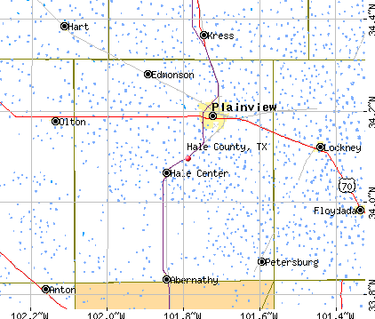 Hale County, TX map