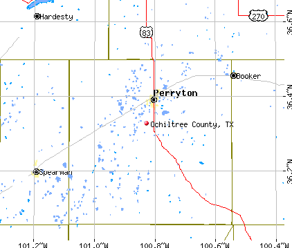 Ochiltree County, TX map