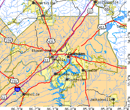 Etowah County, AL map