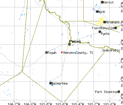 Reeves County, TX map