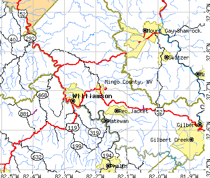 Mingo County, WV map
