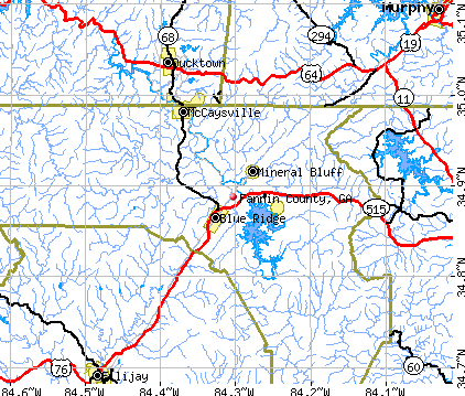 Fannin County, GA map