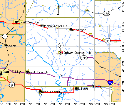 Cedar County, IA map